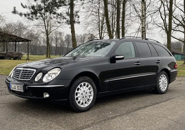 śląskie Mercedes-Benz Klasa E cena 13900 przebieg: 319000, rok produkcji 2005 z Buk